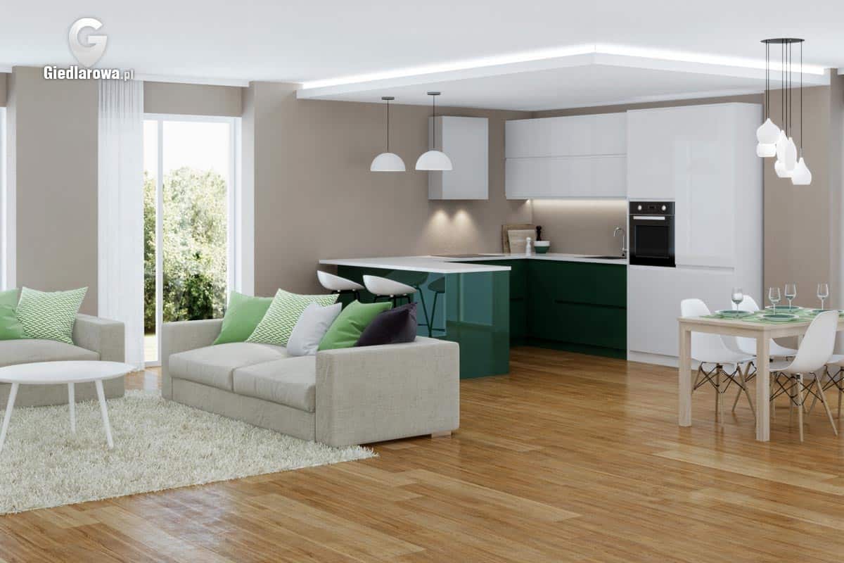 Mała kuchnia z wyspą i salonem Mała kuchnia z wyspą i salonem