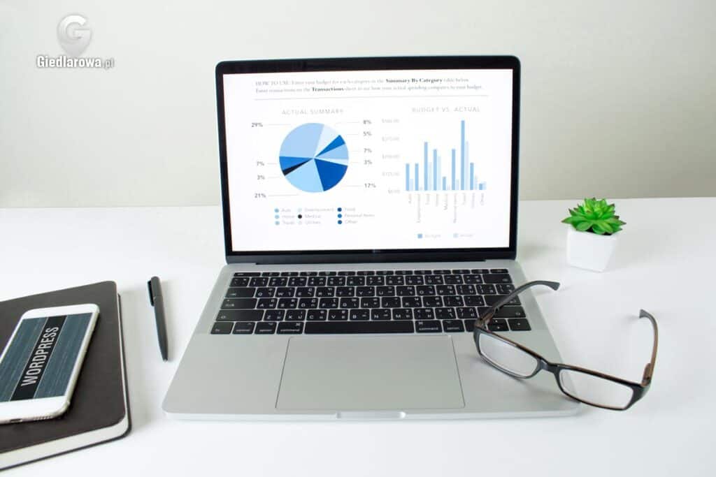 SEO optymalizacja strony WordPress 