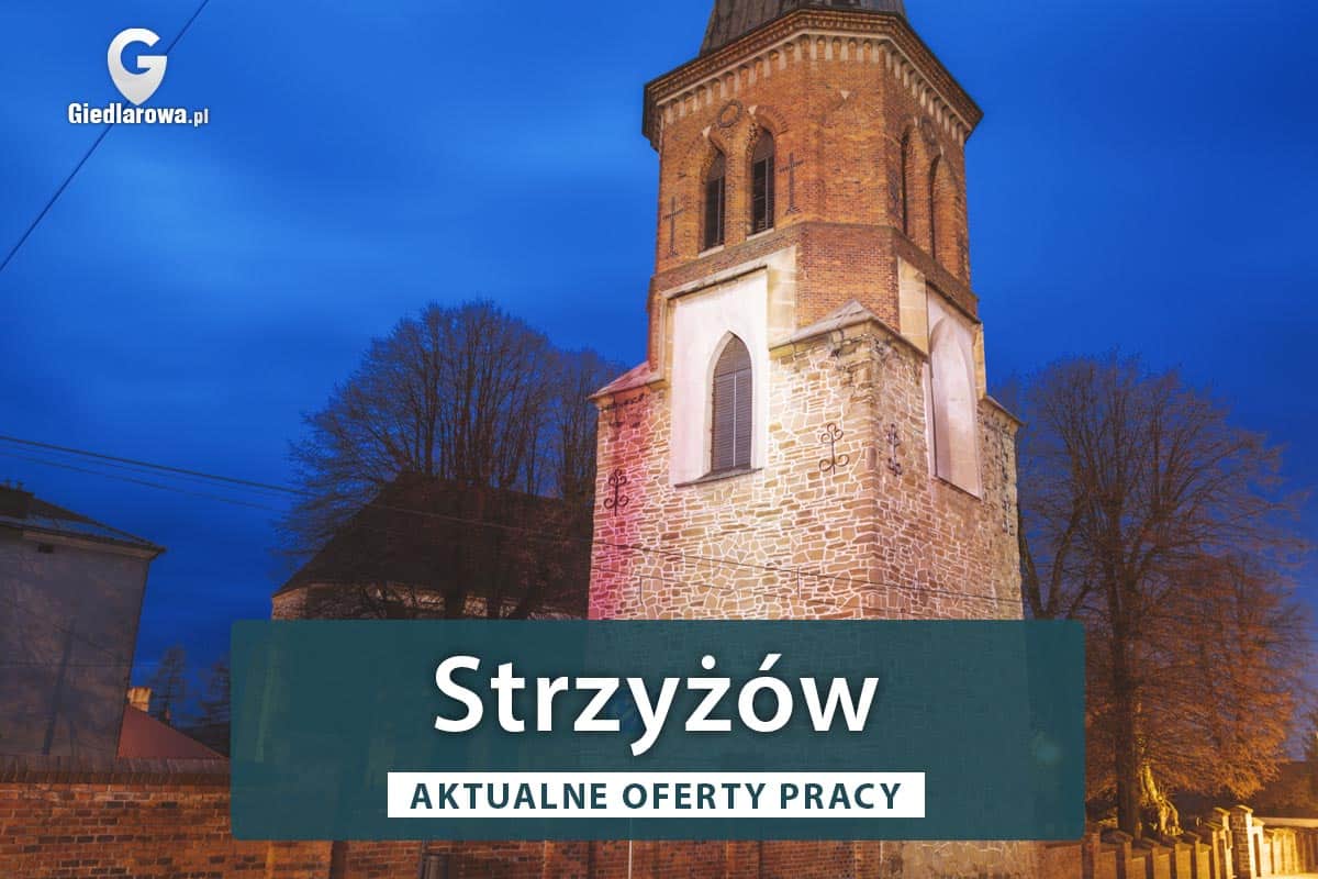 Strzyżów