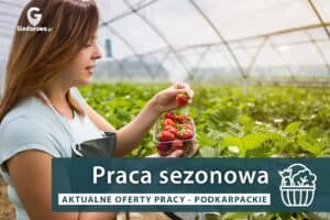 Praca Oczyszczacz (K/M) – Rudnik nad Sanem