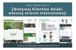 Strona internetowa dla usługodawcy WP