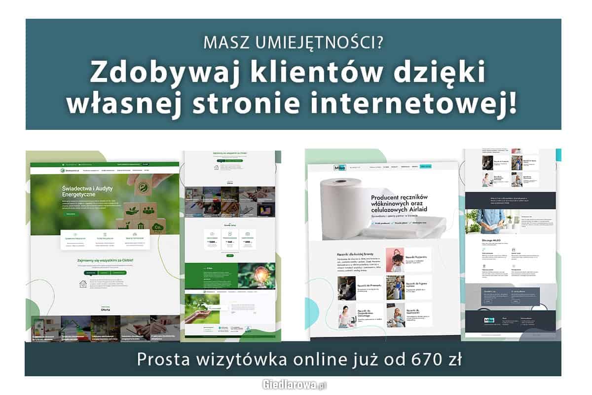 Strona internetowa dla usługodawcy WP