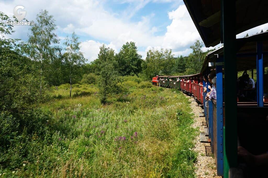 Kolejka wąskotorowa Bieszczady trasa 