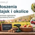 Darmowe ogłoszenia - Leżajsk, lokalne oferty.